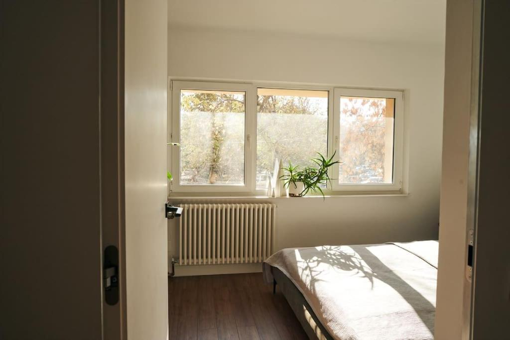 Ultracentral Two Rooms Apartment In Bukares Bagian luar foto